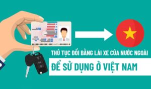 Đổi Bằng Lái Xe Việt Nam